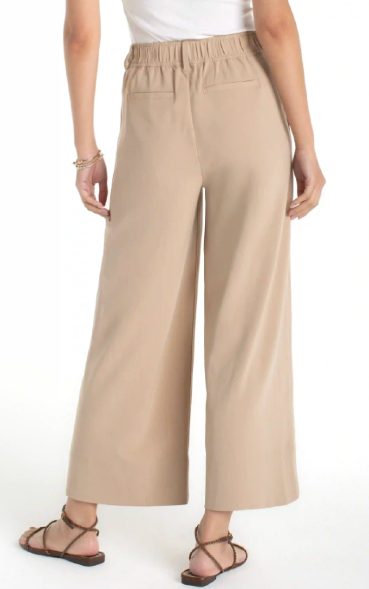 Pleated Cropped Wide Leg