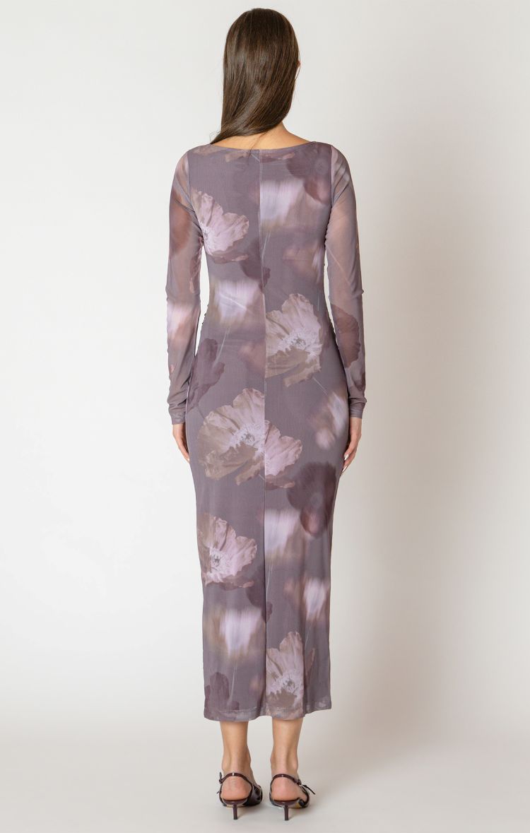 Printed Mesh Maxi Dress