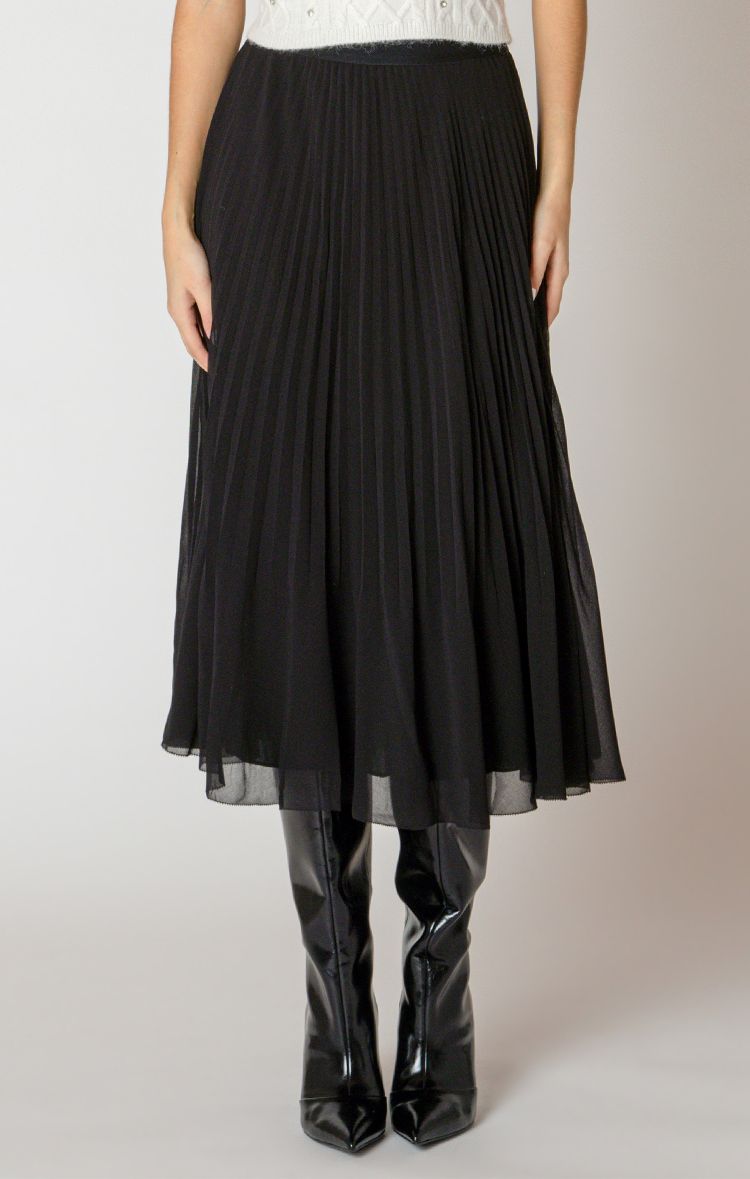 Pleated Skirt
