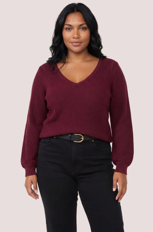 Gentle Fawn Hailey V-Neck Pointelle Sweater