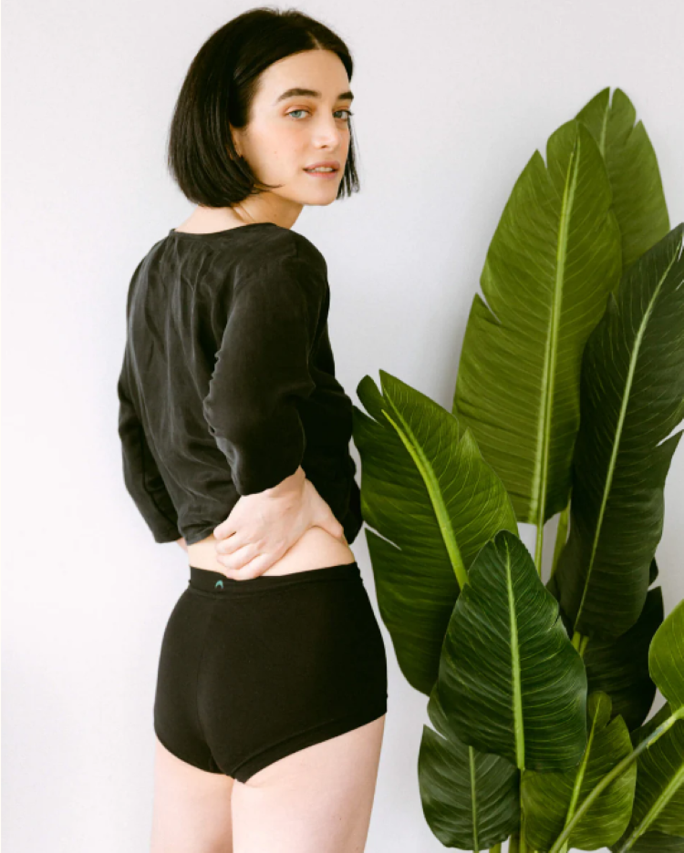 Mineral Underwear Brief