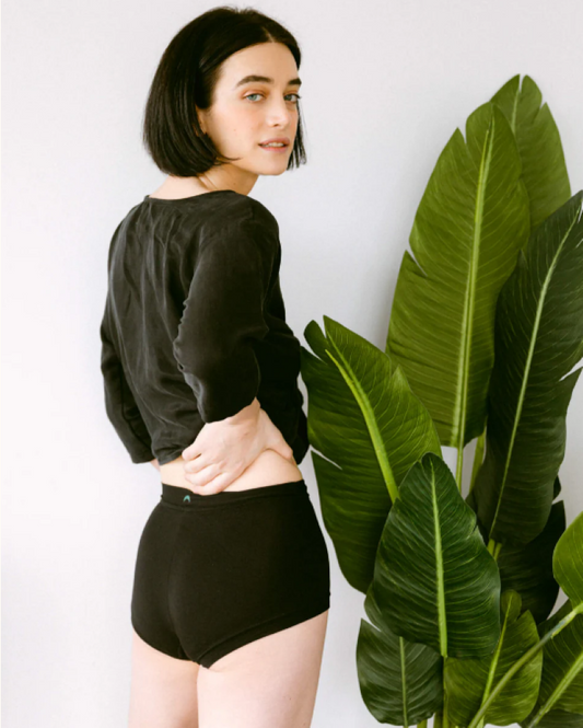 Mineral Underwear Brief
