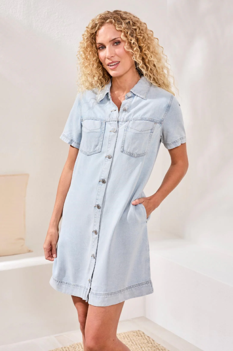 Button Front Denim Shift Dress