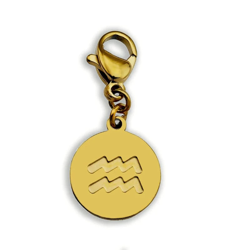 Zodiac 2025 sign charms
